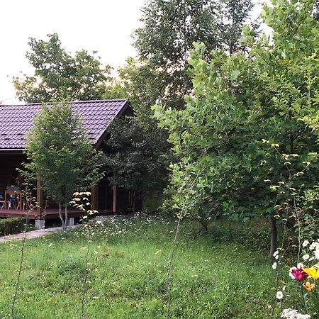 Вілла Галіція Білоберізка Екстер'єр фото
