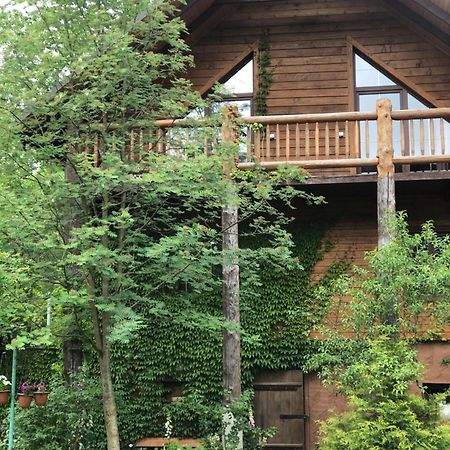Вілла Галіція Білоберізка Екстер'єр фото