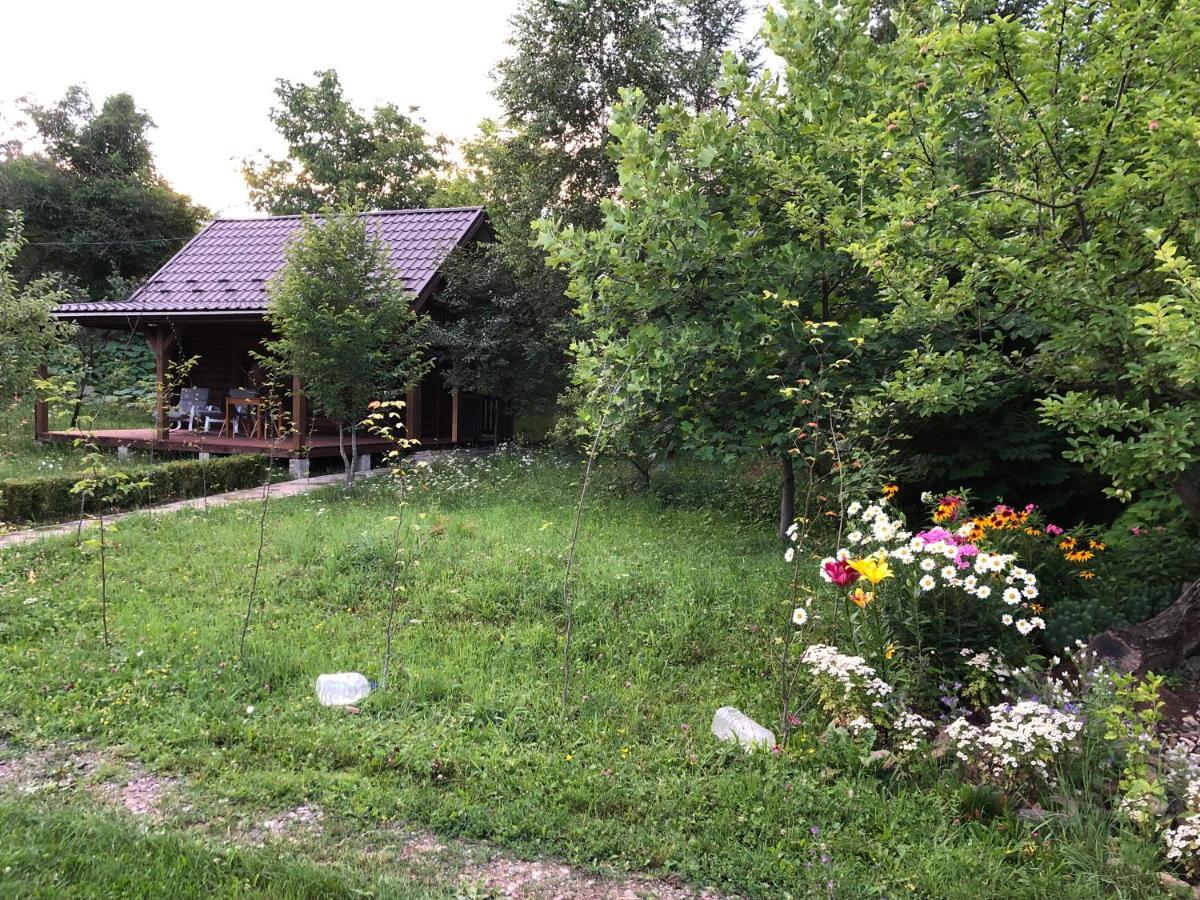Вілла Галіція Білоберізка Екстер'єр фото